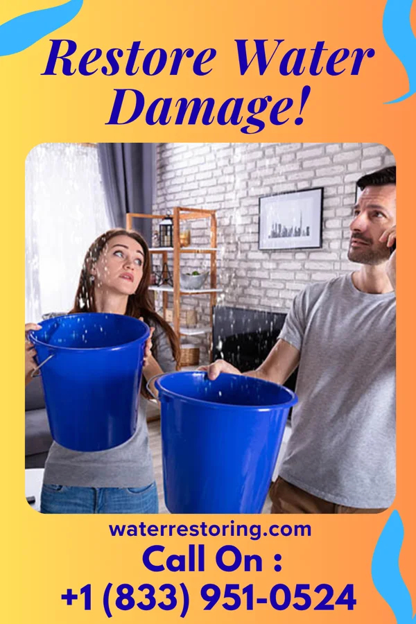 water restoration National Water Repair Brothers Withamsville