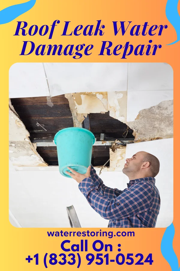 Roof Leak Water Damage Repair in Withamsville, OH